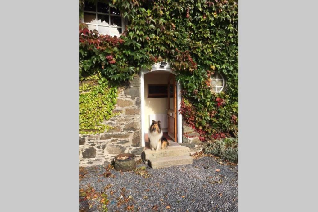 Appartamento The Byre . Dromore  Esterno foto